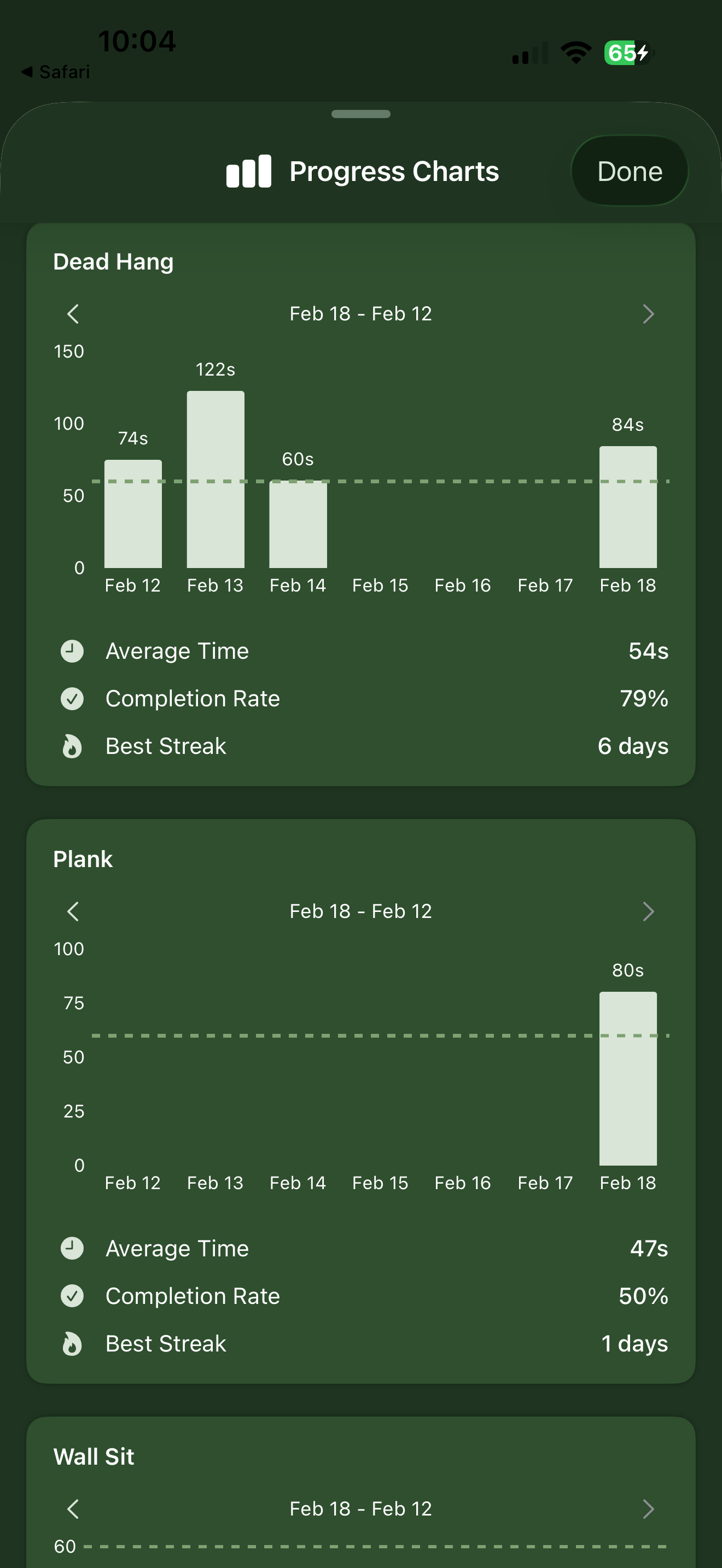Hold Strong workout history with personal bests and daily records
